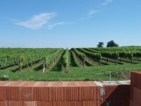 /album/erdgeschoss-decke-aufmauern/p8014655-fileminimizer-jpg/